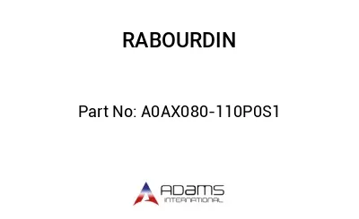 A0AX080-110P0S1