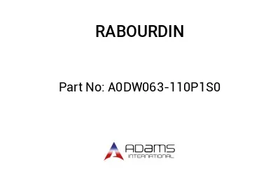 A0DW063-110P1S0