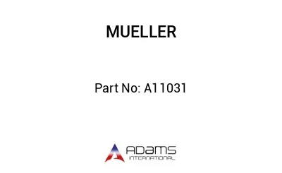 A11031
