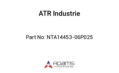 NTA14453-06P025 NTA14453-06P025